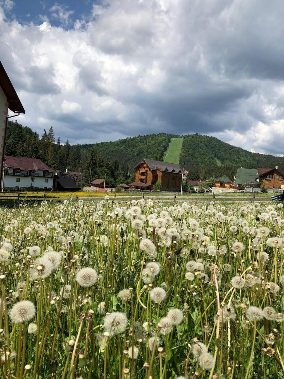 Sadyba U Halyny Sunrise Bukoveľ Exteriér fotografie