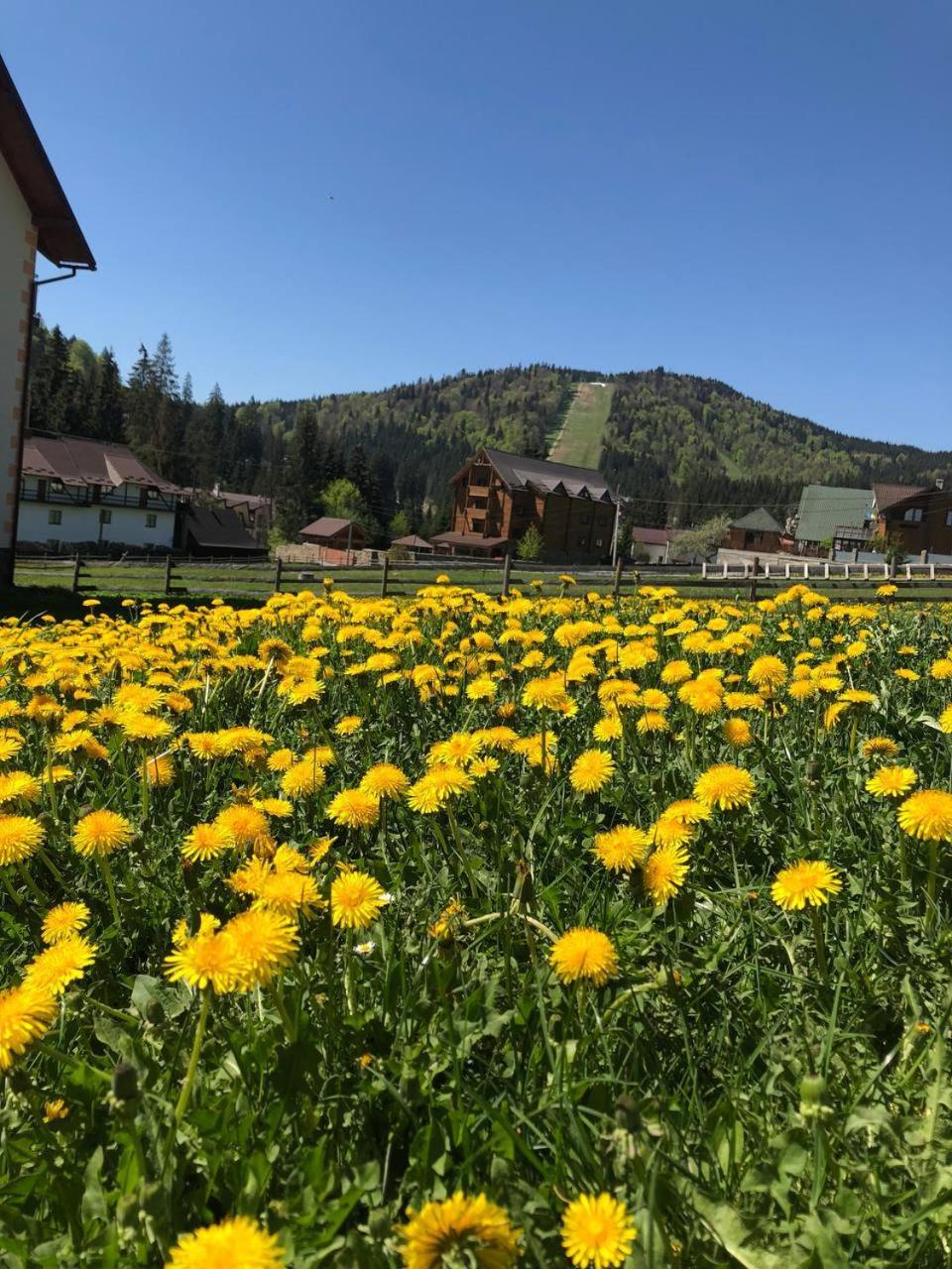 Sadyba U Halyny Sunrise Bukoveľ Exteriér fotografie