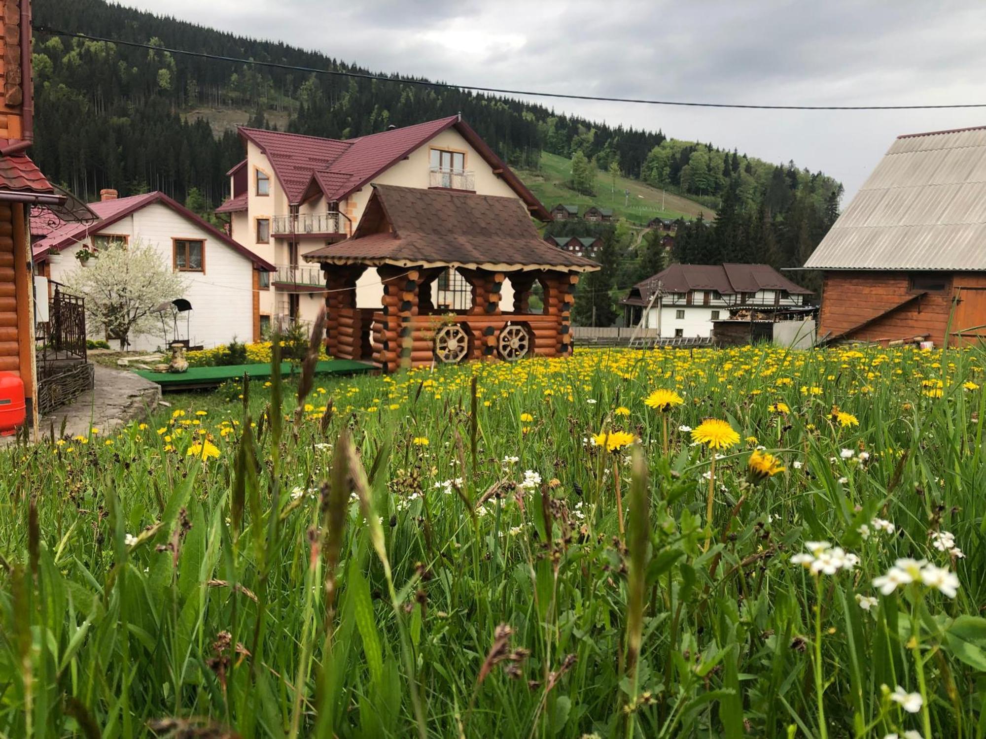 Sadyba U Halyny Sunrise Bukoveľ Exteriér fotografie