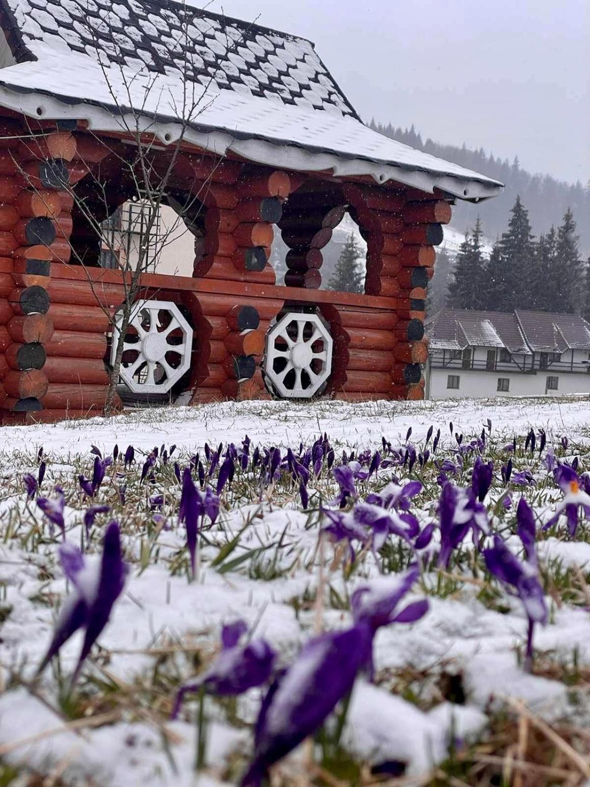 Sadyba U Halyny Sunrise Bukoveľ Exteriér fotografie