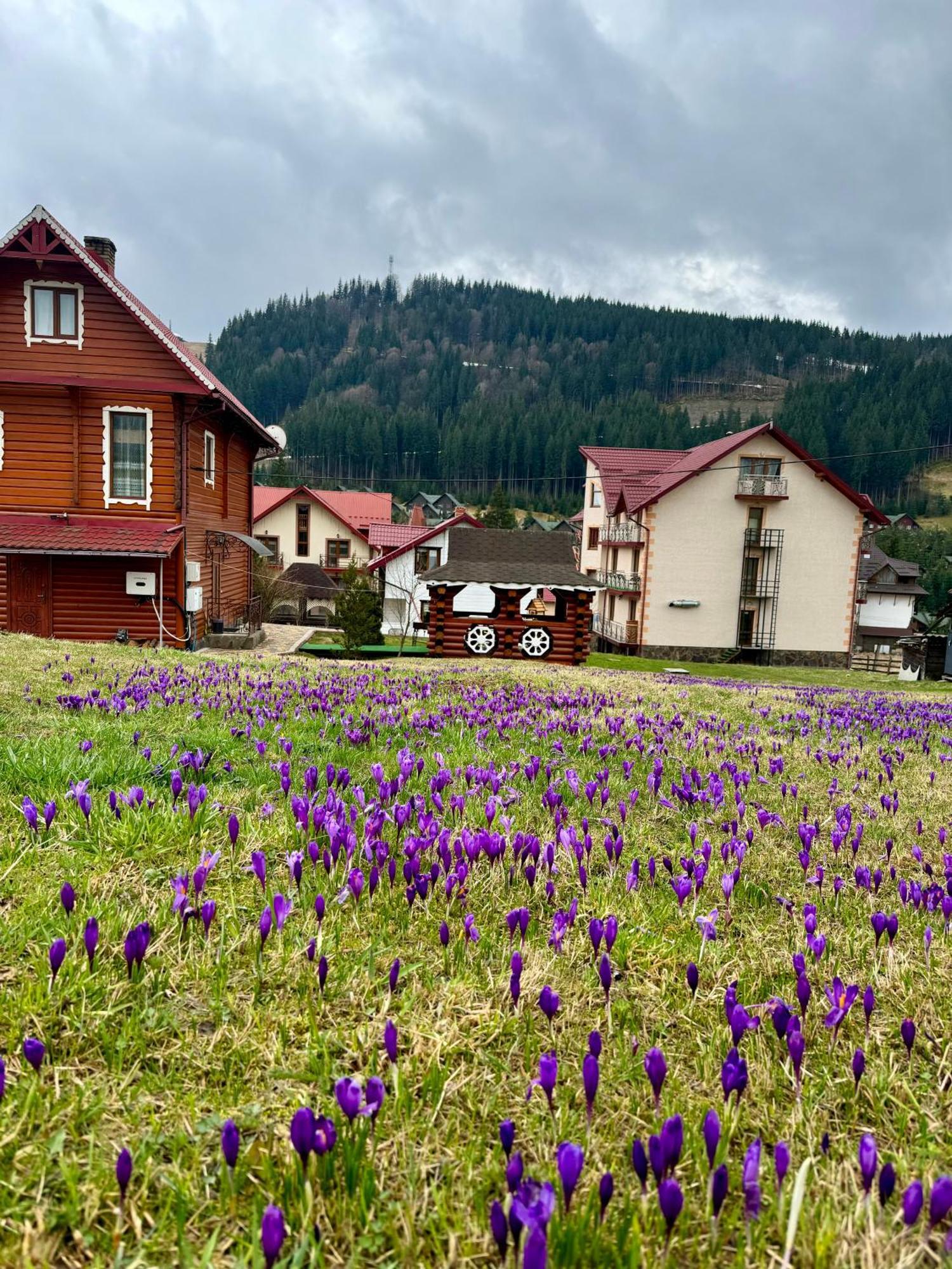 Sadyba U Halyny Sunrise Bukoveľ Exteriér fotografie